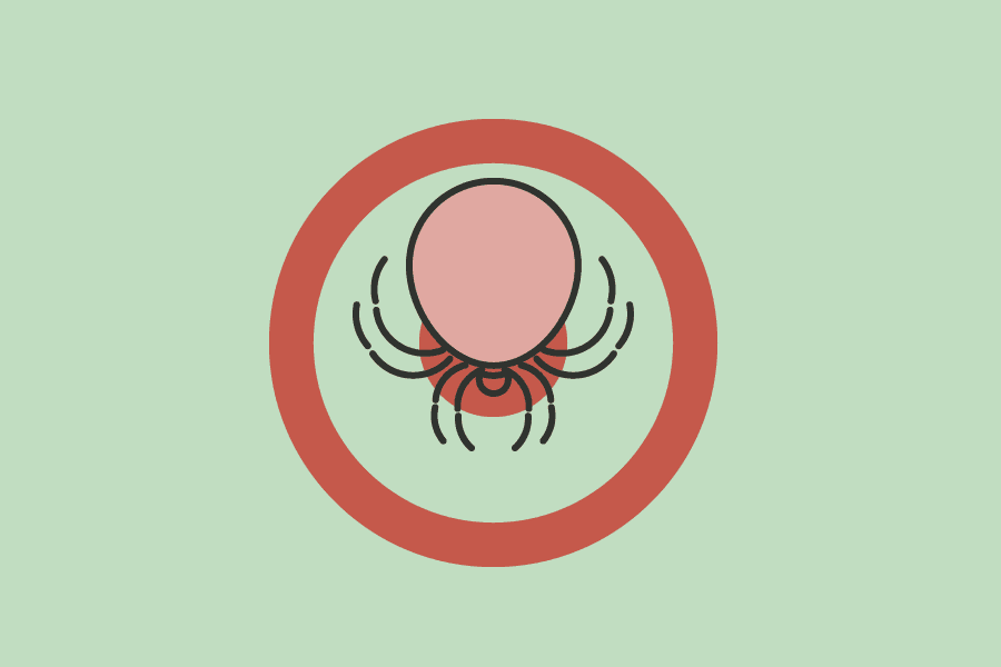 Borrelia