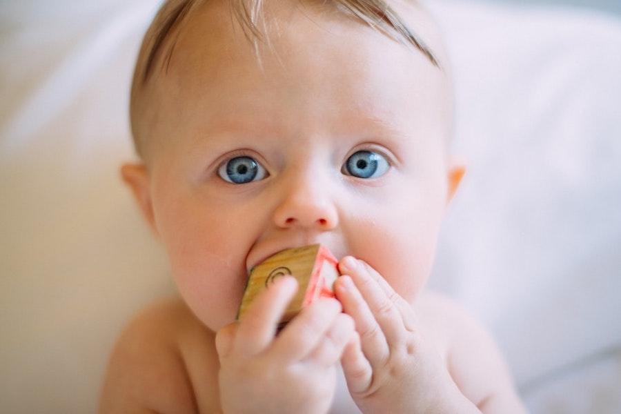 colin-maynard-CEEhmAGpYzE-unsplash