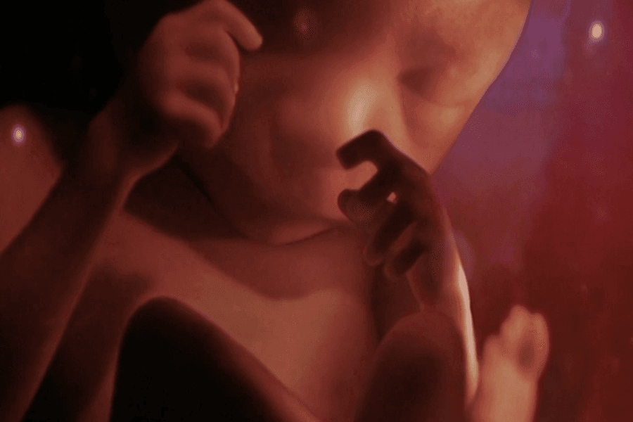 Inside the uterus week 26